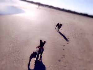 写真 2 - コピー (9)