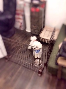 写真 5 - コピー