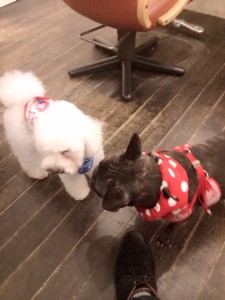 写真 2 - コピー