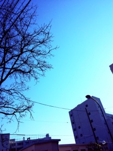 写真 2 - コピー (20)