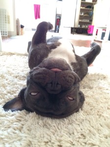 ｓｆｄｇｆｄｖｓｄｓｗｄｆｓｄｓｄｆｄｆ