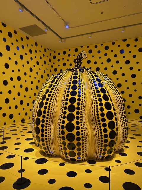 秋を感じる旅に…⭐︎