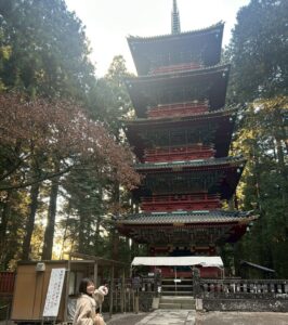 ⭐️メリークリスマスイヴ⭐️