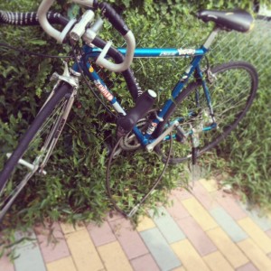 写真 4yurtyhtrytbe