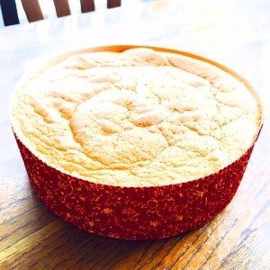 o0480048013673728070