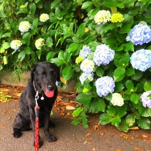 o0480048013673728099