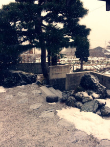 o0480064013858339257