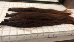 o2576144913830613390